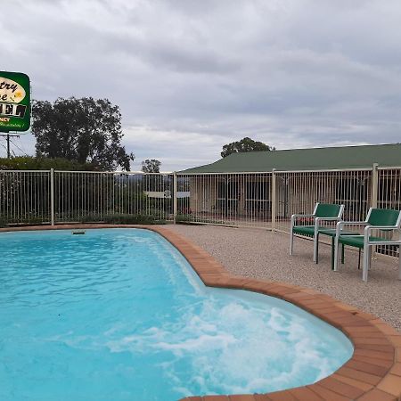 Country Rose Motel Ворік Екстер'єр фото